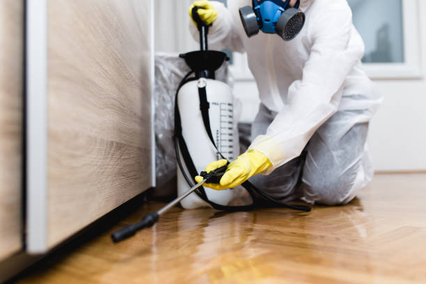 Best Affordable Pest Control Services  in Warsaw, NC