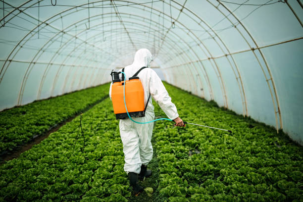 Best Pest Removal Services  in Warsaw, NC