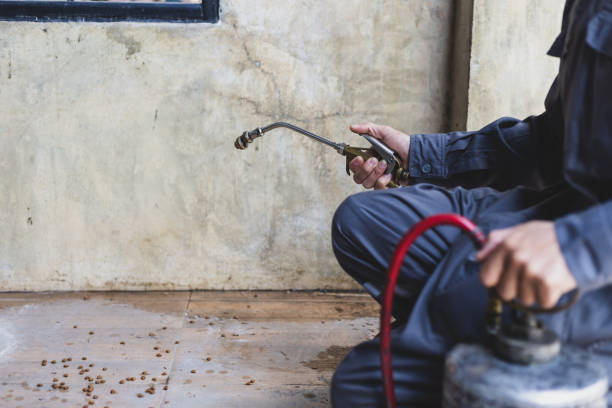 Professional Pest Control in Warsaw, NC