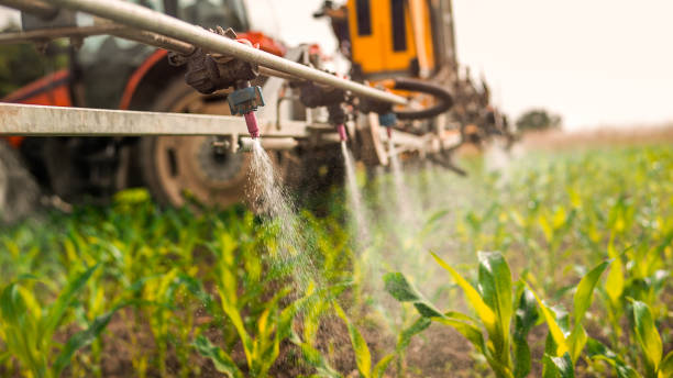 Best Pest Control for Businesses  in Warsaw, NC