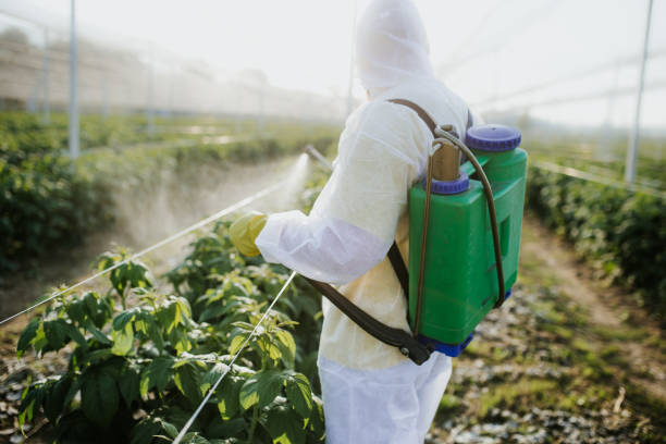 Best Pest Control Near Me in Warsaw, NC